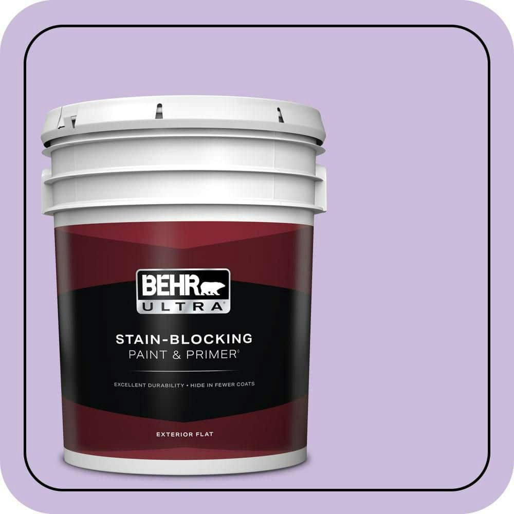 Behr 5-Gallon Confetti Flat Exterior Paint and Primer: $273 Behr 5-Gallon Confetti Flat Exterior Paint and Primer: $273