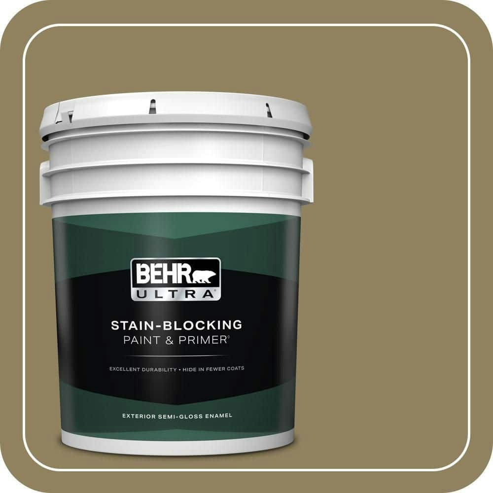 Behr Gingko Tree Semi-Gloss Exterior Paint & Primer 5-Gallon: $293