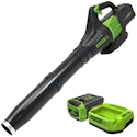 Greenworks Pro 60V 450 CFM Cordless Leaf Blower w/ 2.0Ah Battery & Charger for $145 + free shipping