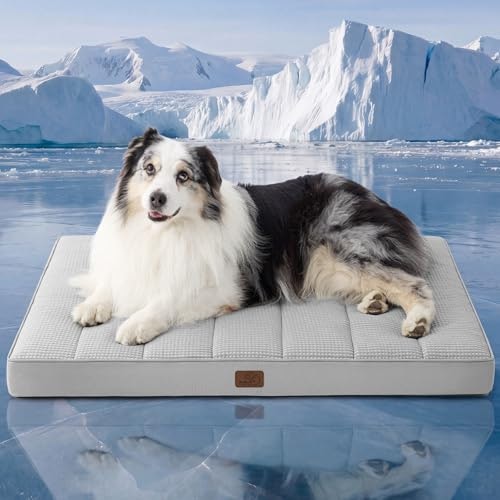 Bedsure XL 41x29-Inch Cooling Dog Bed: $54.39 Bedsure XL 41x29-Inch Cooling Dog Bed: $54.39