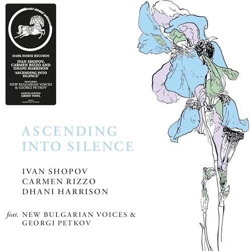 Ascending Into Silence Vinyl LP: $13.22