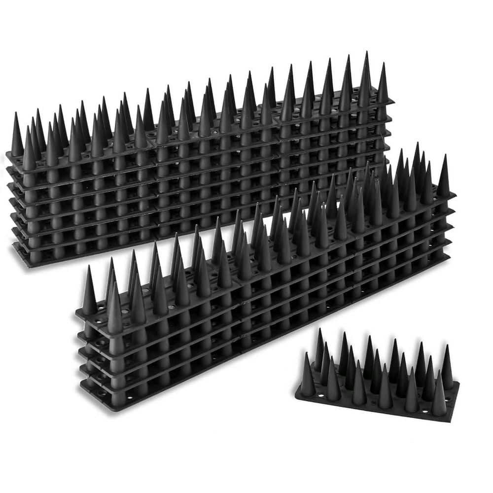 Bird Spike Strips 12-Pack: $43.14 Bird Spike Strips 12-Pack: $43.14