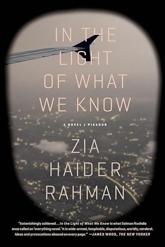 In the Light of What We Know A Novel: $2.99 In the Light of What We Know A Novel: $2.99