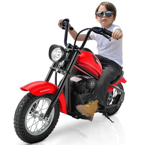 Elemara 24V Electric Dirt Bike: $295.99