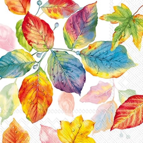 IHR Ideal Home Range 6.5" x 6.5" 3-Ply Paper Napkins 20-Count: $5.70 IHR Ideal Home Range 6.5" x 6.5" 3-Ply Paper Napkins 20-Count: $5.70