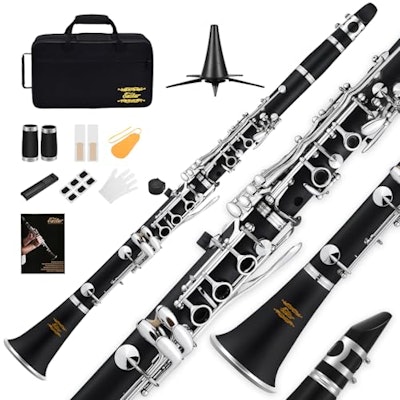 Eastar B Flat Ebonite Beginner Clarinet for $78 + free shipping
