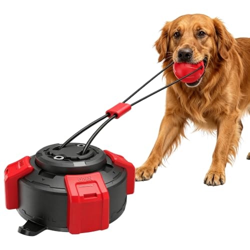 Lynwave Suction Cup Dog Tug Toy: $11.30
