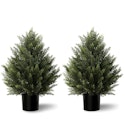 Vitalismo 2-Foot Artificial Cedar Topiary Trees 2-Pack for $33 + free shipping