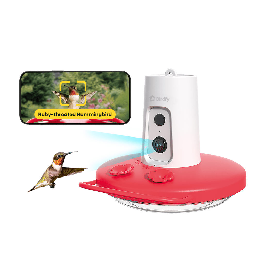 Birdfy AI Hummingbird Feeder w/ 1080p Camera: $89
