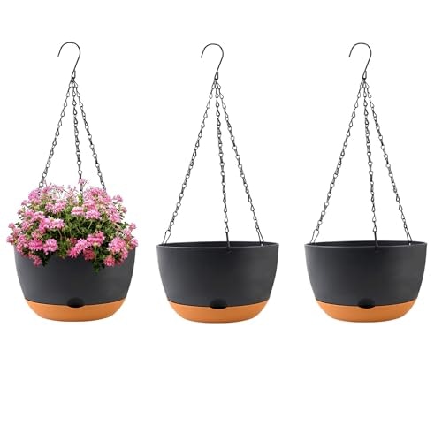 KPUVX 10-Inch Hanging Baskets 3-Pack: $17.98 KPUVX 10-Inch Hanging Baskets 3-Pack: $17.98
