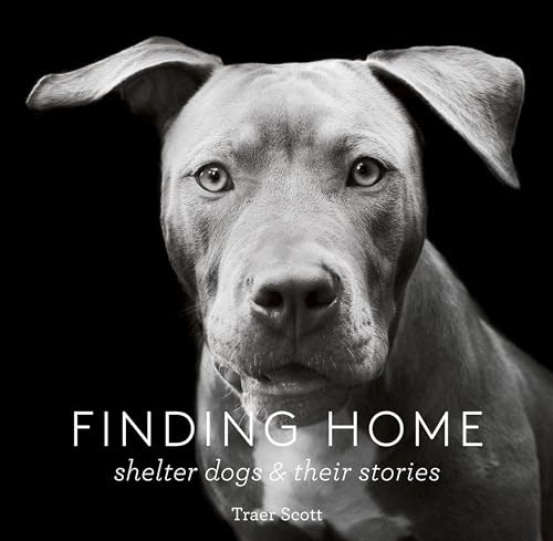 Finding Home: Shelter Dogs & Their Stories: $2.99 Finding Home: Shelter Dogs & Their Stories: $2.99