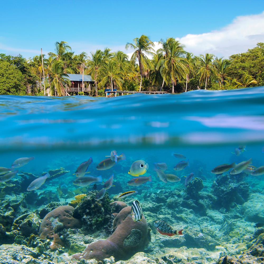 Windstar 8-Night Aruba to Panama City Cruise: From $6,492 for 2