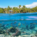 Windstar 8-Night Aruba to Panama City Cruise for From $6,492 for 2