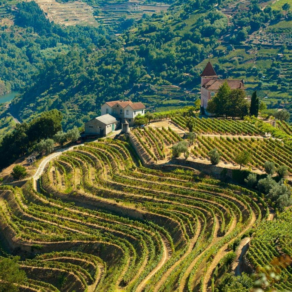Riviera Travel 7-Night Douro River Cruise: From $4,998 for 2 Riviera Travel 7-Night Douro River Cruise: From $4,998 for 2