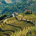 Riviera Travel 7-Night Douro River Cruise for From $4,998 for 2