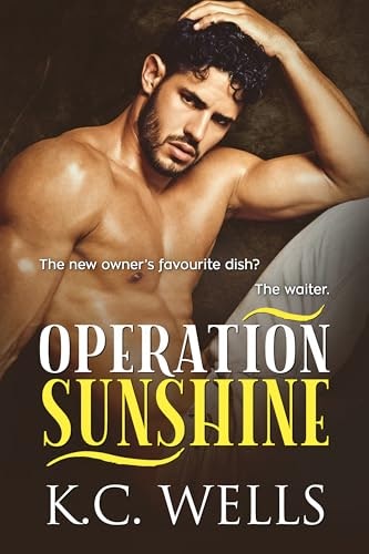 Operation Sunshine: $0.99 Operation Sunshine: $0.99