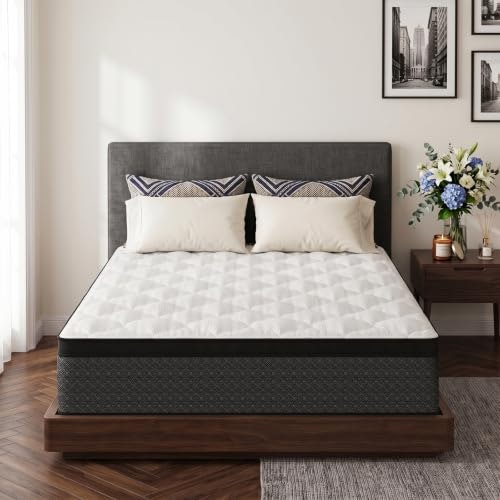 Queen Hybrid 10-Inch Memory Foam Mattress: $175.99 Queen Hybrid 10-Inch Memory Foam Mattress: $175.99