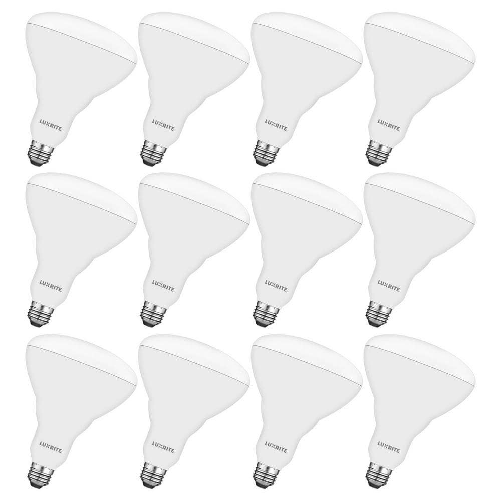 85-Watt Equivalent BR40 5,000K LED Light Bulb 12-Pack: $144.99 85-Watt Equivalent BR40 5,000K LED Light Bulb 12-Pack: $144.99