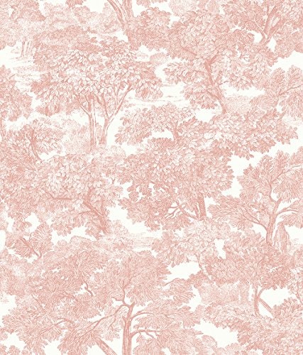 Chesapeake Spinney Rose Toile Wallpaper: $48.28 Chesapeake Spinney Rose Toile Wallpaper: $48.28