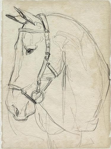 Jennifer Parker Horse in Bridle Sketch II Wall Art Print 12" x 16": $16.70 Jennifer Parker Horse in Bridle Sketch II Wall Art Print 12" x 16": $16.70