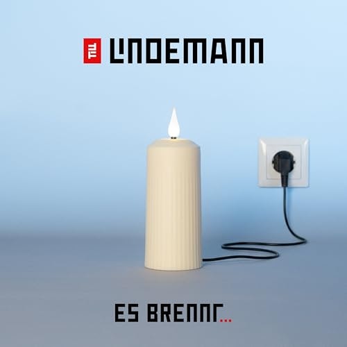 Es Brennt: $25.99 Es Brennt: $25.99