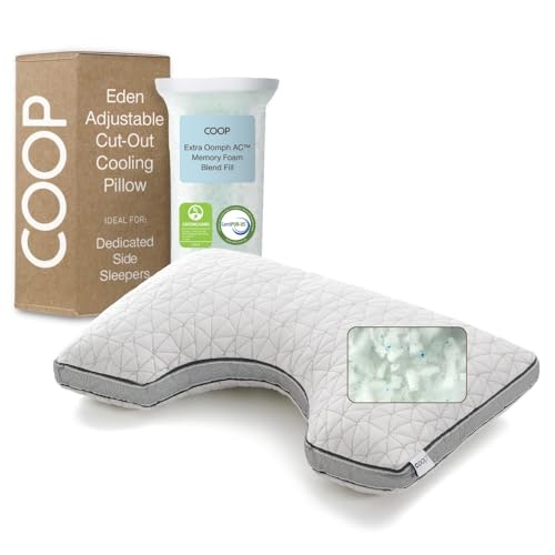 Coop Home Goods Eden Cut-Out Memory Foam Queen Pillow: $95.20