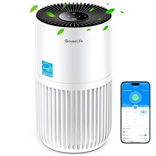 GoveeLife Smart Mini Air Purifier: $37.99 GoveeLife Smart Mini Air Purifier: $37.99