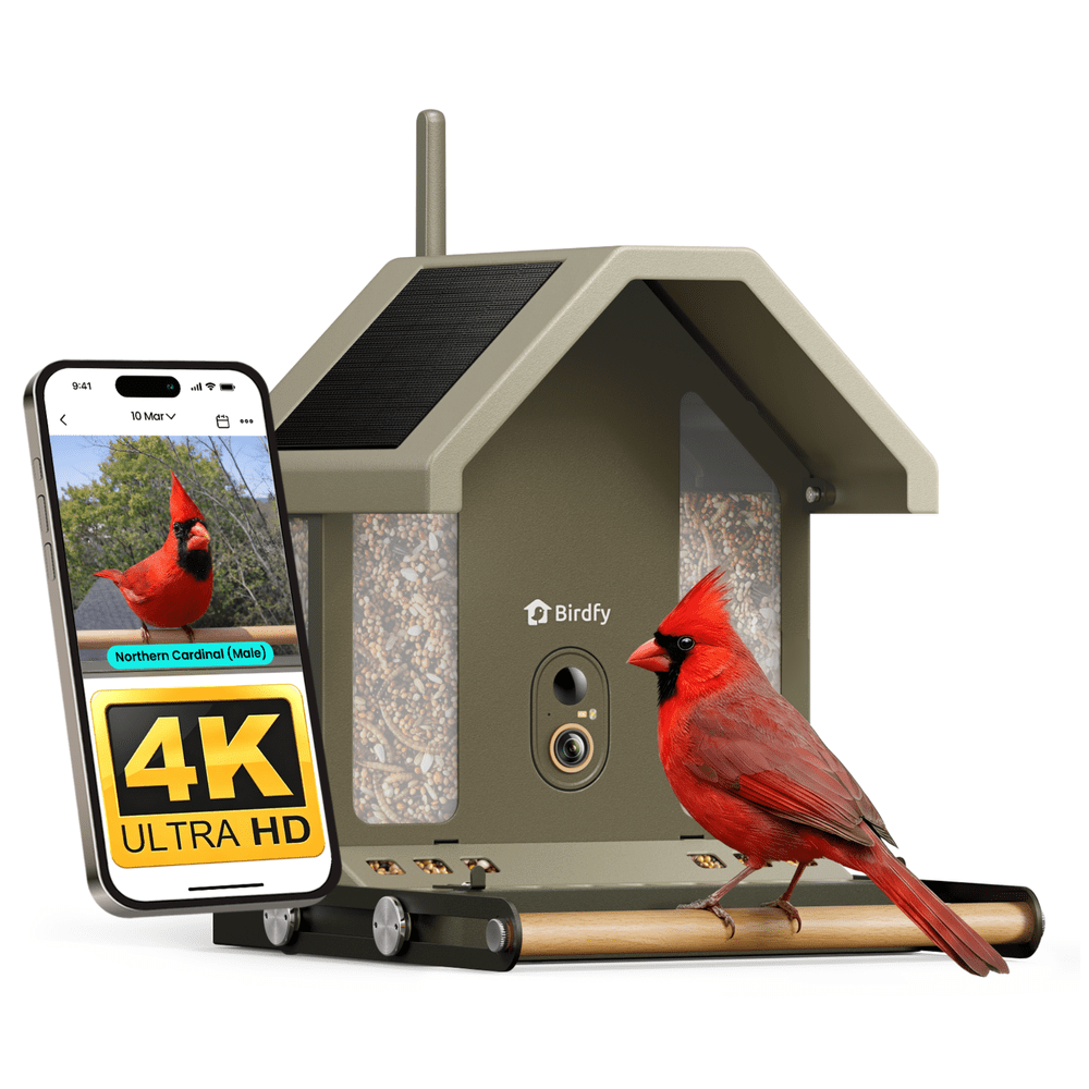 Birdfy Smart Bird Feeder with 4K Camera: $229.99 Birdfy Smart Bird Feeder with 4K Camera: $229.99