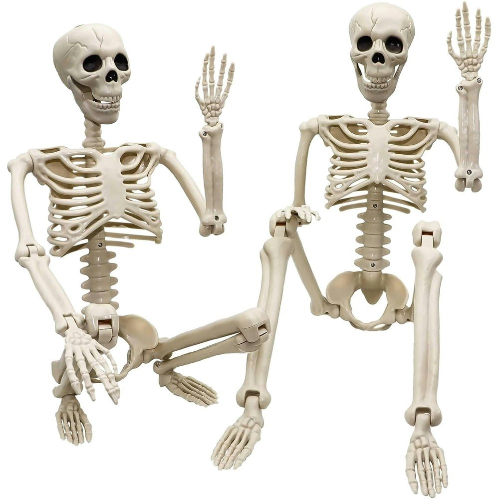 24-Inch Posable Halloween Skeleton 2-Pack: $15.88 24-Inch Posable Halloween Skeleton 2-Pack: $15.88