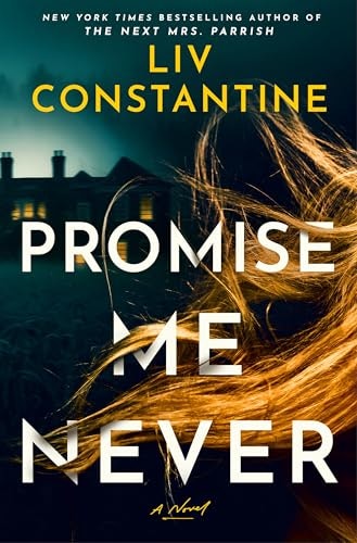 Promise Me Never: $28.14 Promise Me Never: $28.14