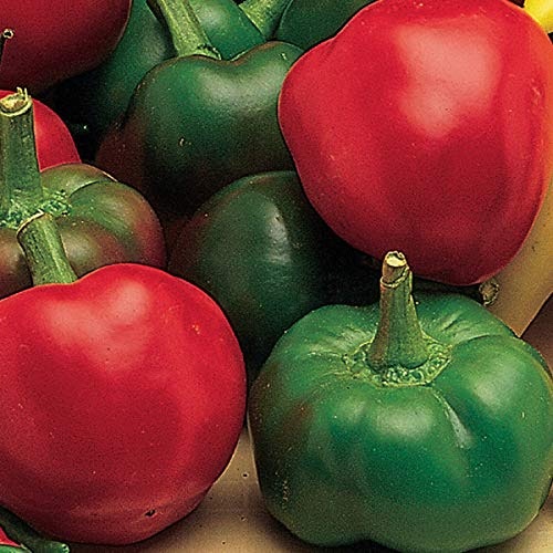 Burpee Large Cherry Hot Pepper Seeds 150-Count: $4.45 Burpee Large Cherry Hot Pepper Seeds 150-Count: $4.45