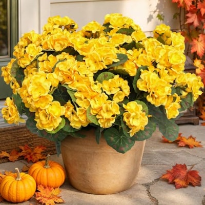 Flortevera 12-Piece Artificial Geraniums for $20 + free shipping w/ Prime