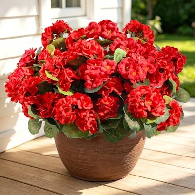 Flortevera Artificial Geraniums 12-Pack for $12.40 + free shipping w/ Prime