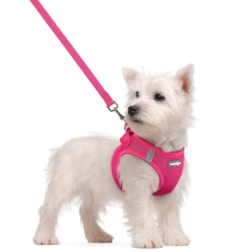 Rabbitgoo Small Dog Harness and Leash Set: $14.98 Rabbitgoo Small Dog Harness and Leash Set: $14.98