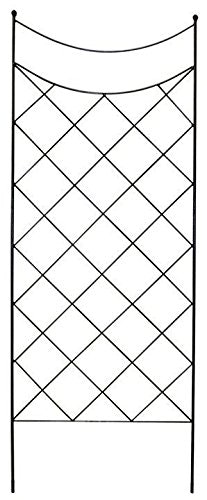 American Garden Works Filigree Trellis 65" x 25": $60.60 American Garden Works Filigree Trellis 65" x 25": $60.60