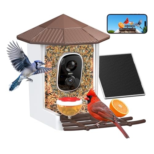 WansView 2K Solar-Powered Smart Bird Feeder Camera: $39.89