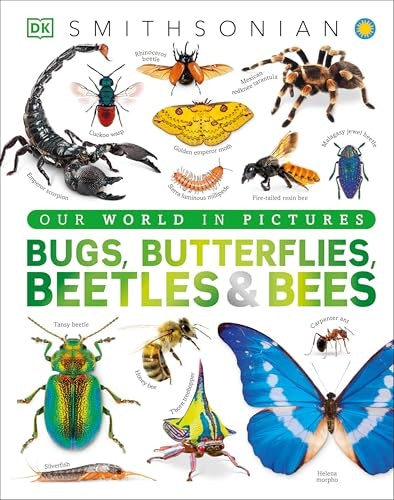Bugs, Butterflies, Beetles and Bees: A Visual Bug and Insect Encyclopedia for Kids: $20.88