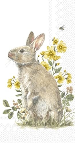 IHR Garden Bunny 3-Ply Paper Napkins 16-Count: $4.20