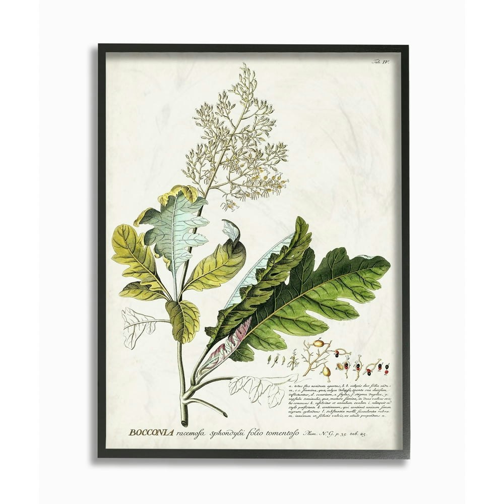 Stupell Industries Botanical Plant Illustration Framed Wall Art: $26.13 Stupell Industries Botanical Plant Illustration Framed Wall Art: $26.13