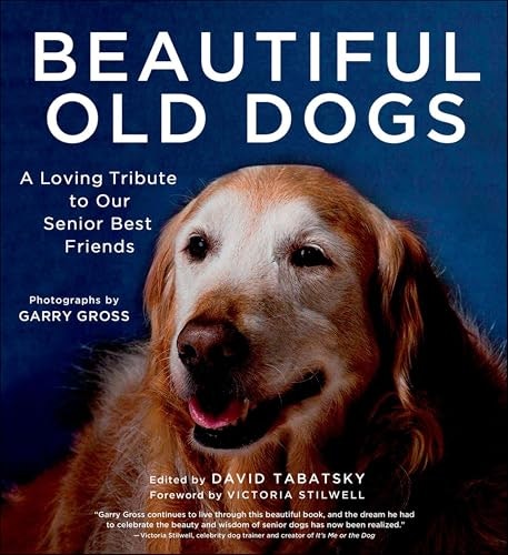 Beautiful Old Dogs: A Loving Tribute to Our Senior Best Friends: $0.50 Beautiful Old Dogs: A Loving Tribute to Our Senior Best Friends: $0.50