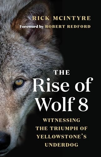 The Rise of Wolf 8: Witnessing the Triumph of Yellowstone's Underdog: $11.71