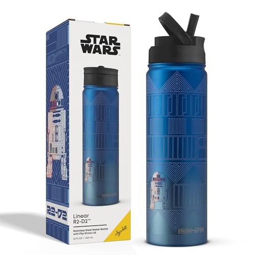 JoyJolt Star Wars R2-D2 22-ounce Stainless Steel Water Bottle: $25