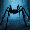 6.5-Foot Halloween Spider Outdoor Decoration for $10 + free shipping w/ Prime