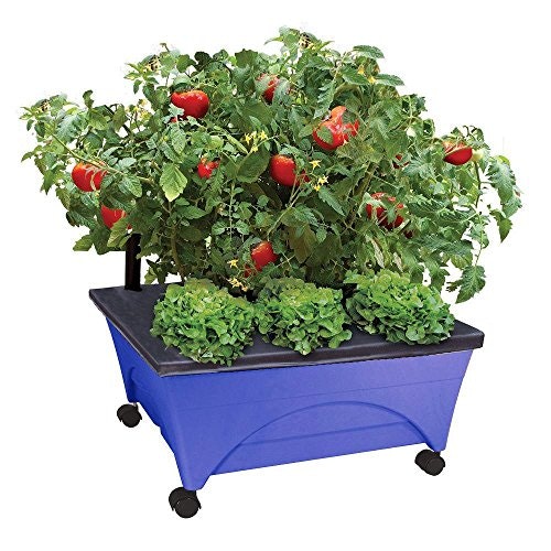 Emsco Group City Picker Self-Watering Raised Bed Grow Box: $20.77 Emsco Group City Picker Self-Watering Raised Bed Grow Box: $20.77