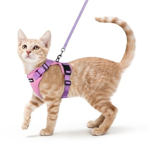 Rabbitgoo Cat Harness and Leash Set: $18.68 Rabbitgoo Cat Harness and Leash Set: $18.68