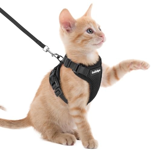 Rabbitgoo Cat Harness and Leash Set: $15.94