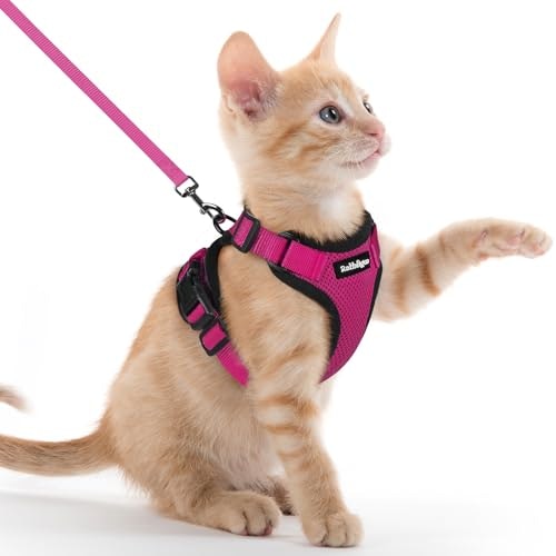 Rabbitgoo Escape Proof Cat Harness and Leash Set: $18.98