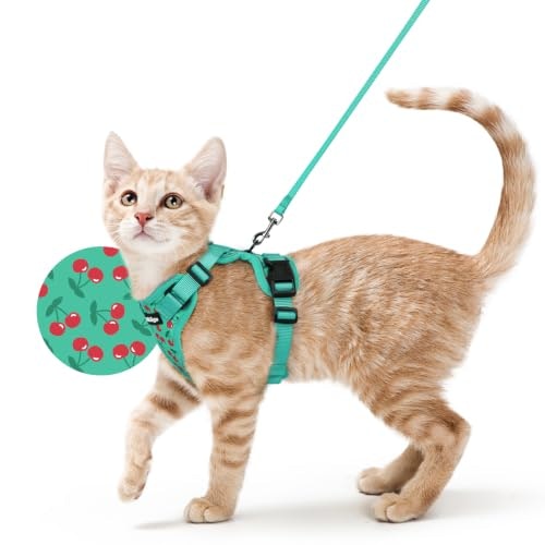 Rabbitgoo Cat Harness and Leash Set: $20.38 Rabbitgoo Cat Harness and Leash Set: $20.38
