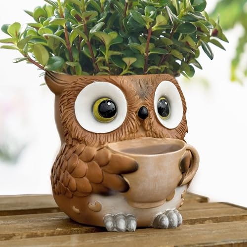 Saysmile Owl Succulent Plant Pot: $16.99