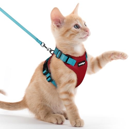 Rabbitgoo Escape Proof Cat Harness and Leash Set: $18.98